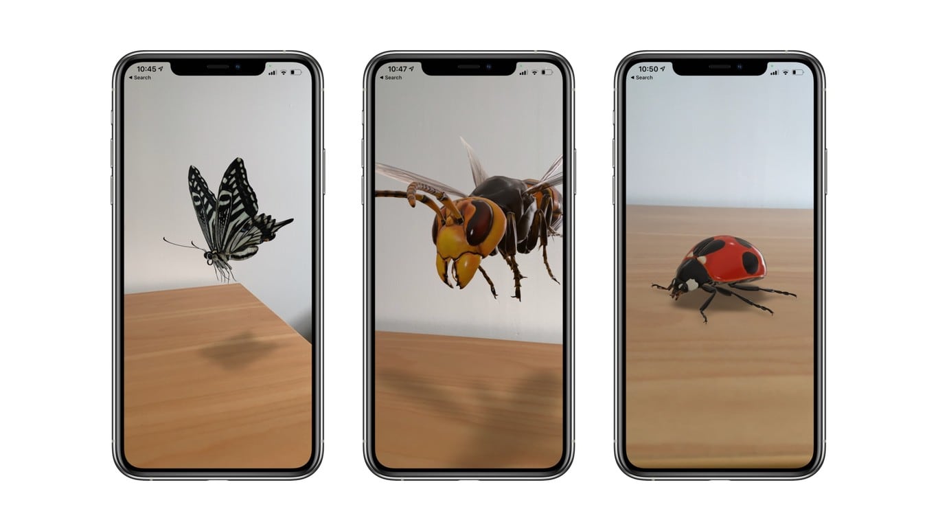 Insectos con realidad aumentada