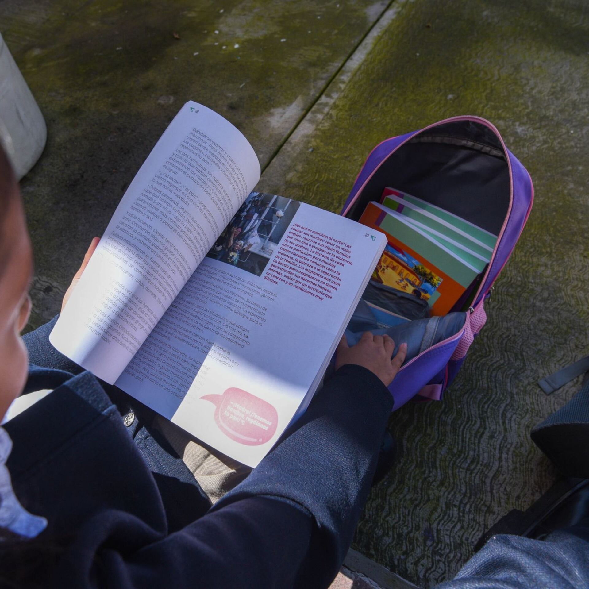 ¿Regresará el esquema de asignaturas a la educación básica?