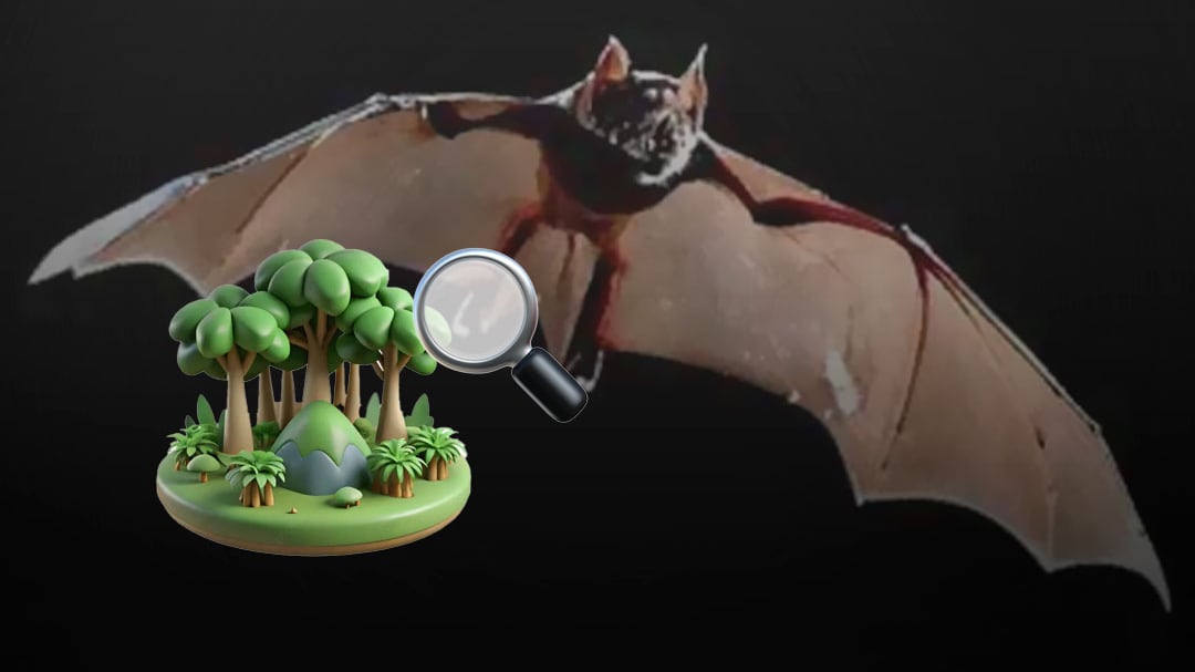 Descubren nueva especie de murciélago en la Selva Lacandona de México