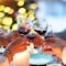 Frases de Navidad para el brindis y discurso del 24 de diciembre