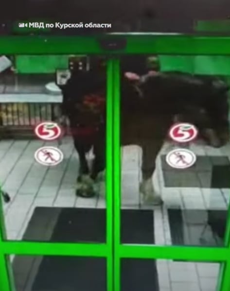 Caballo dentro de la tienda