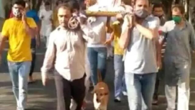 Perro en funeral