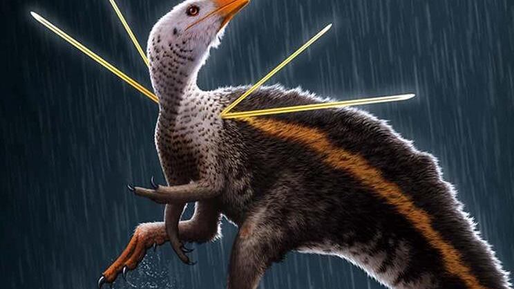 Encuentran dinosaurio “elegante”; presumía su pelaje como los pavos reales
