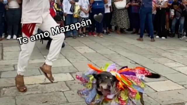 Perrito Mazapán en Guelaguetza 2022