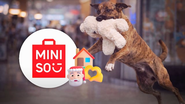 De Miniso al hogar: el perrito del peluche ya fue adoptado y se llama Thor