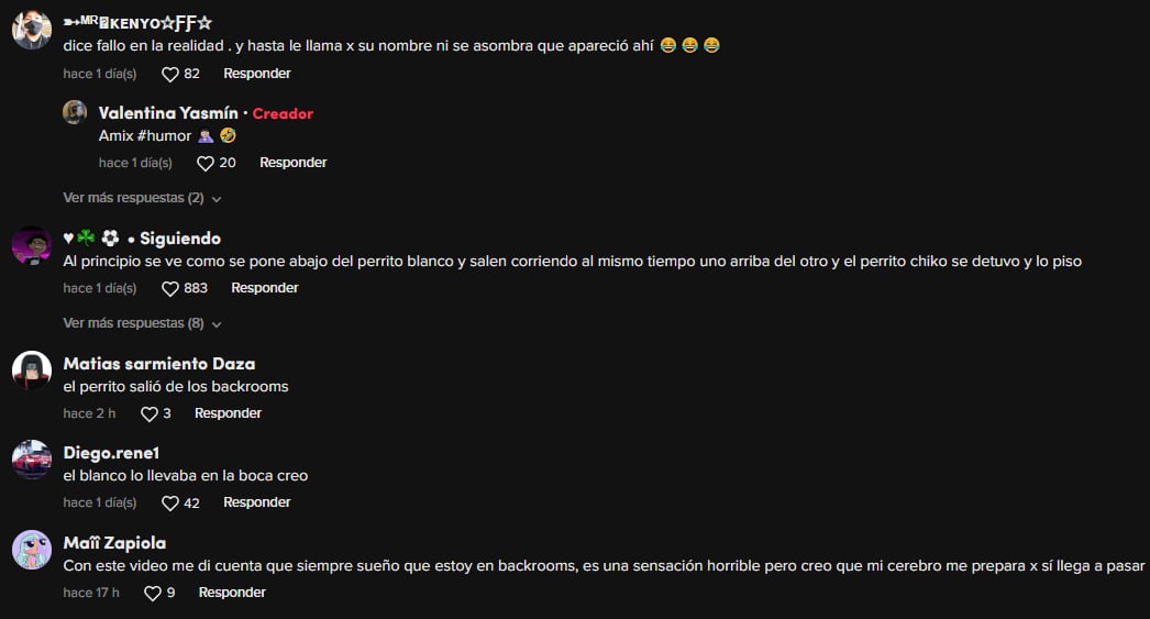 Reacciones al perrito que muestra que hay una "falla en la realidad"