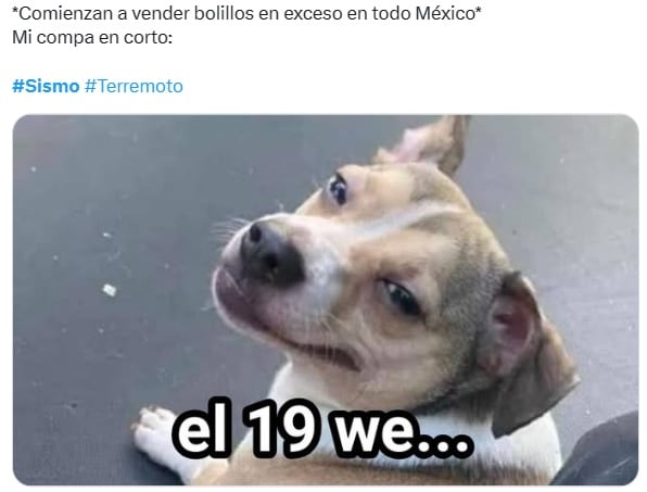 Temblor: 19 de septiembre provoca estos telúricos memes porque ya tenemos miedo de un sismo