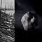 ¿Qué pasó en Tunguska 1908? Este increíble acontecimiento es el origen del Día Internacional de los Asteroides