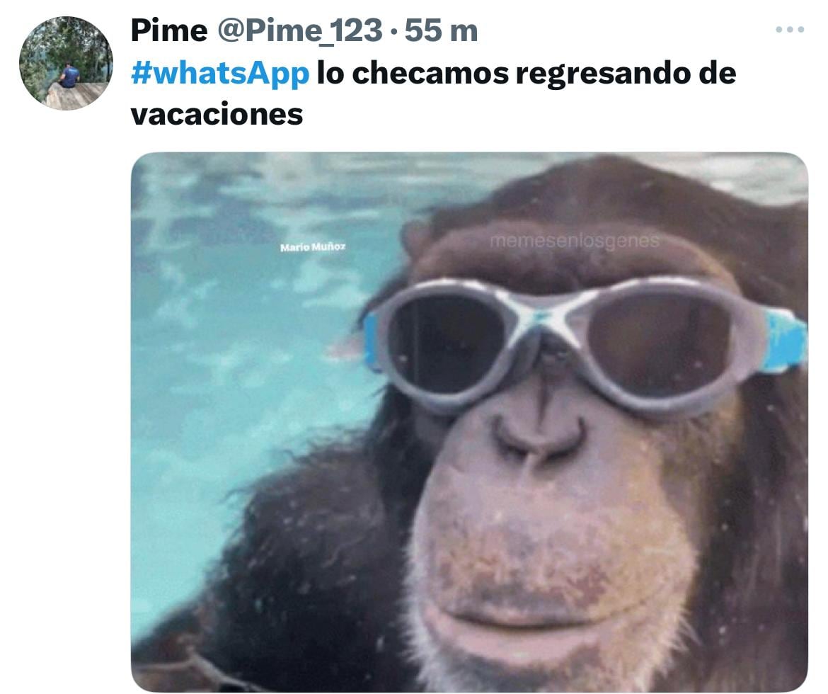 WhatsApp se cayó a nivel mundial y estallaron los memes