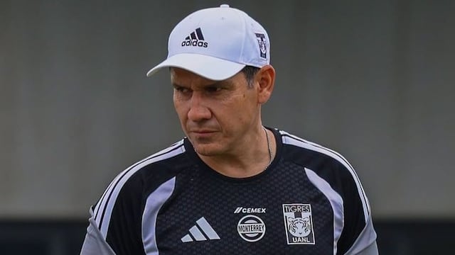¿Quién es Hernán Elizondo?: DT interino de Tigres.