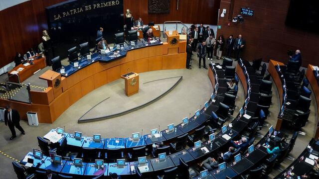 Cámara de Senadores discute reforma contra el nepotismo y la reelección