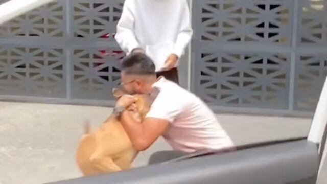 Perro reencuentra a su dueño