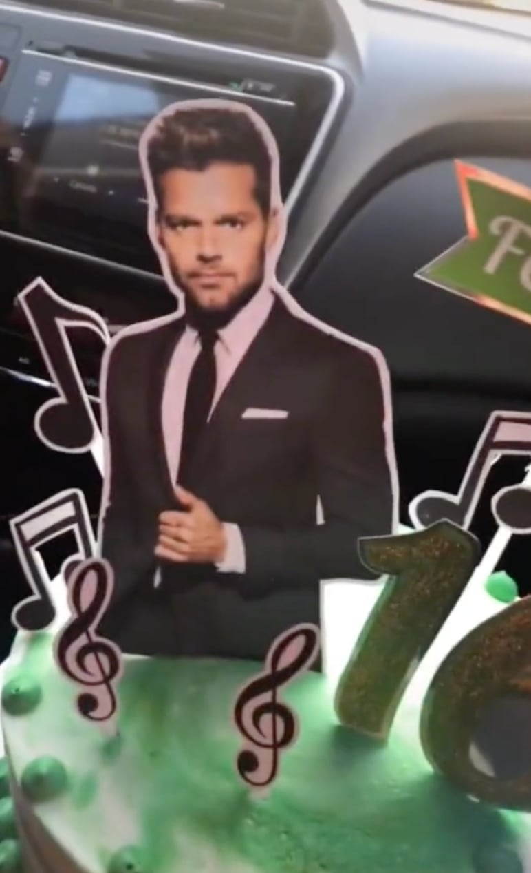 Pastel de Ricky Martin