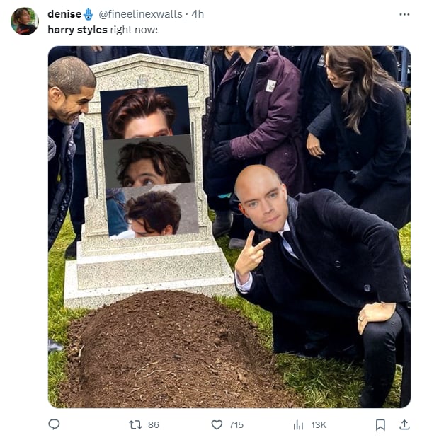 Memes por Harry Styles pelón