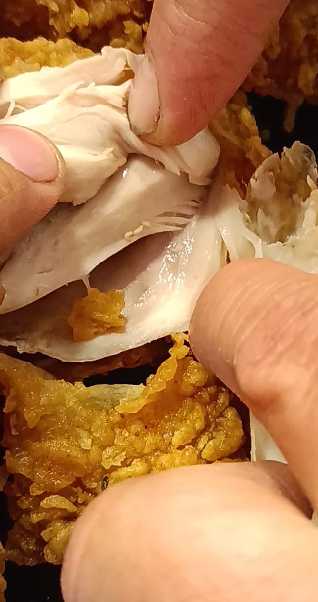 Pollo de KFC con gusanos