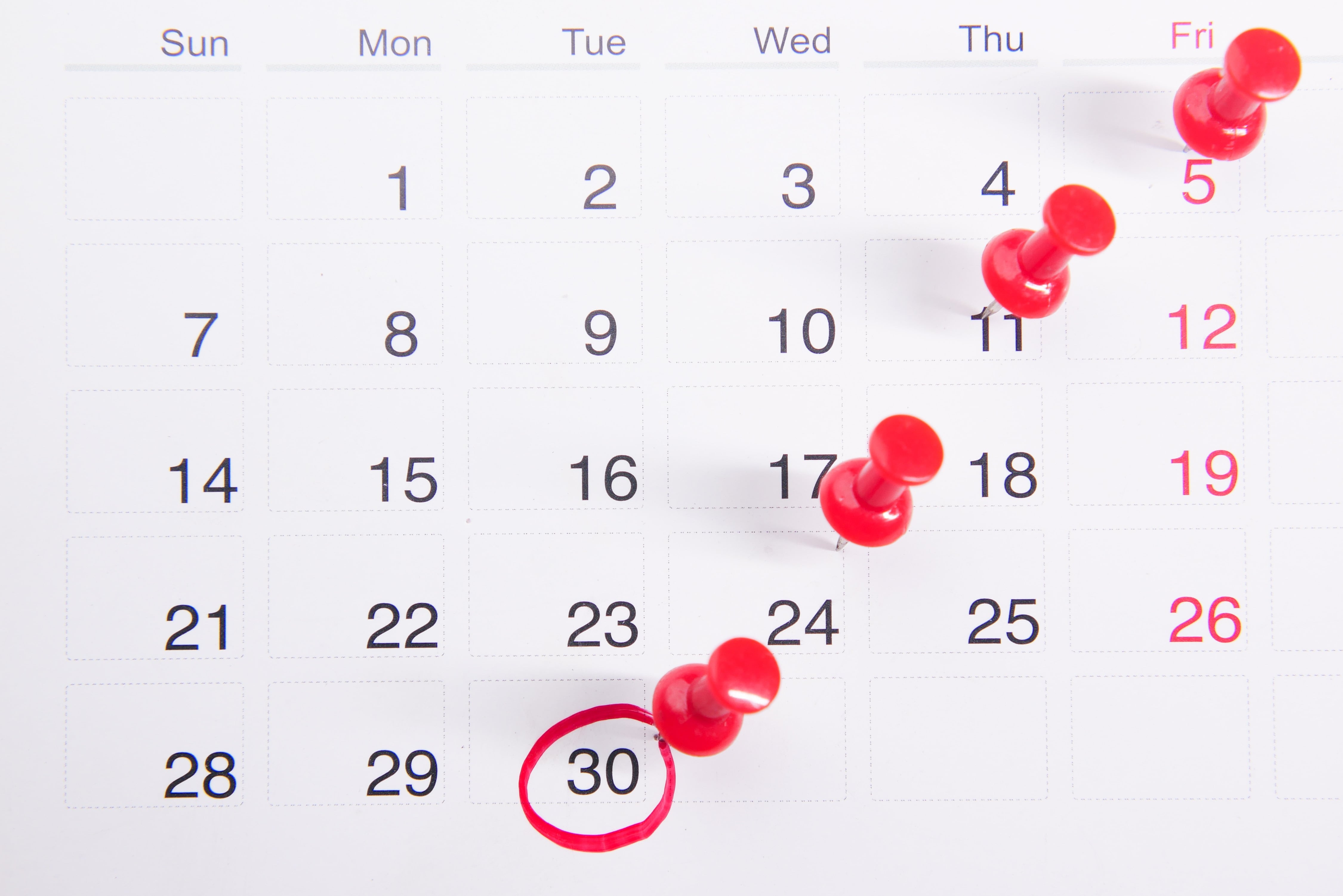 Calendario