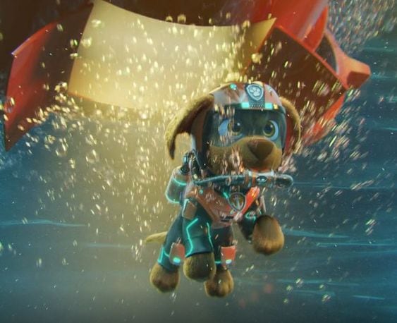 ¿Qué raza es Zuma de Paw Patrol?