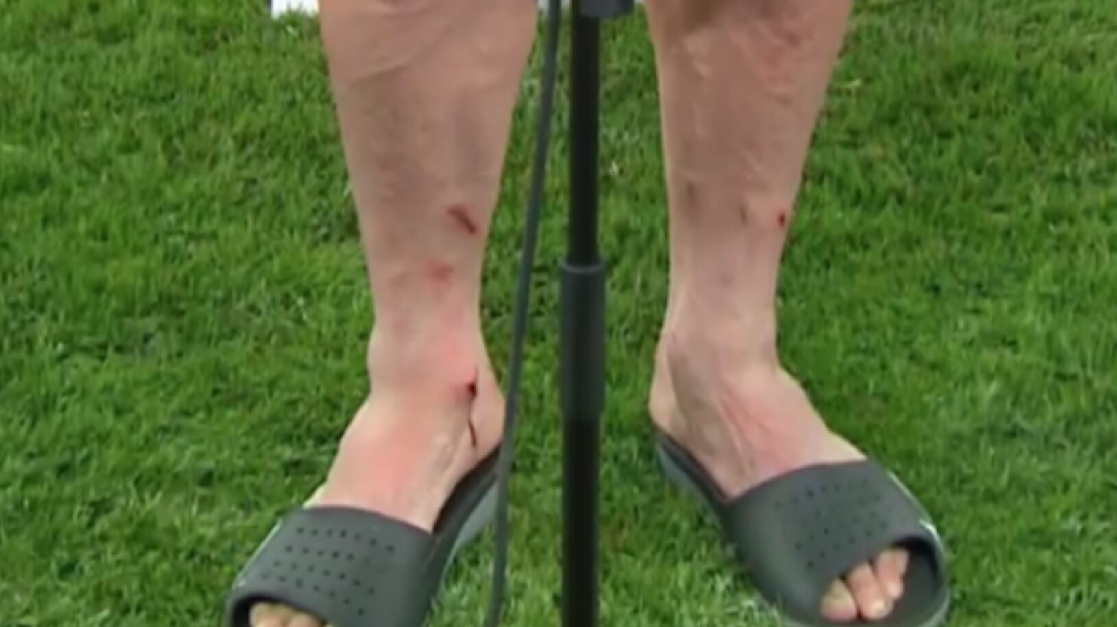 Héctor Herrera: así terminaron sus piernas tras recibir varias patadas en la Champions League