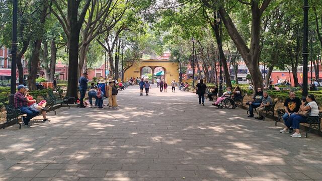 Coyoacán disminuye padrón de cédulas de comercio