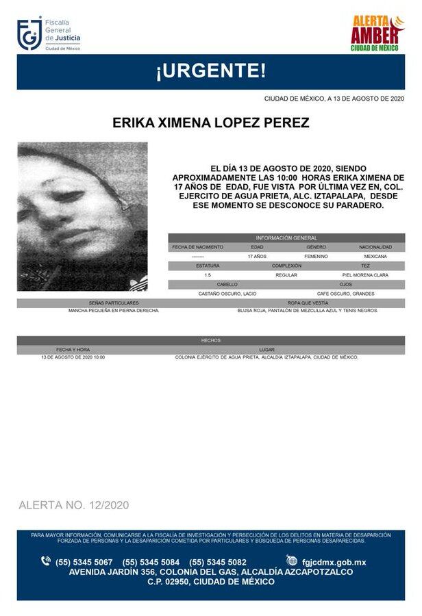 Ficha de búsqueda de Erika