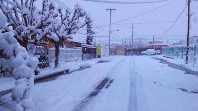 Heladas en Sonora. Declaración de emergencia.