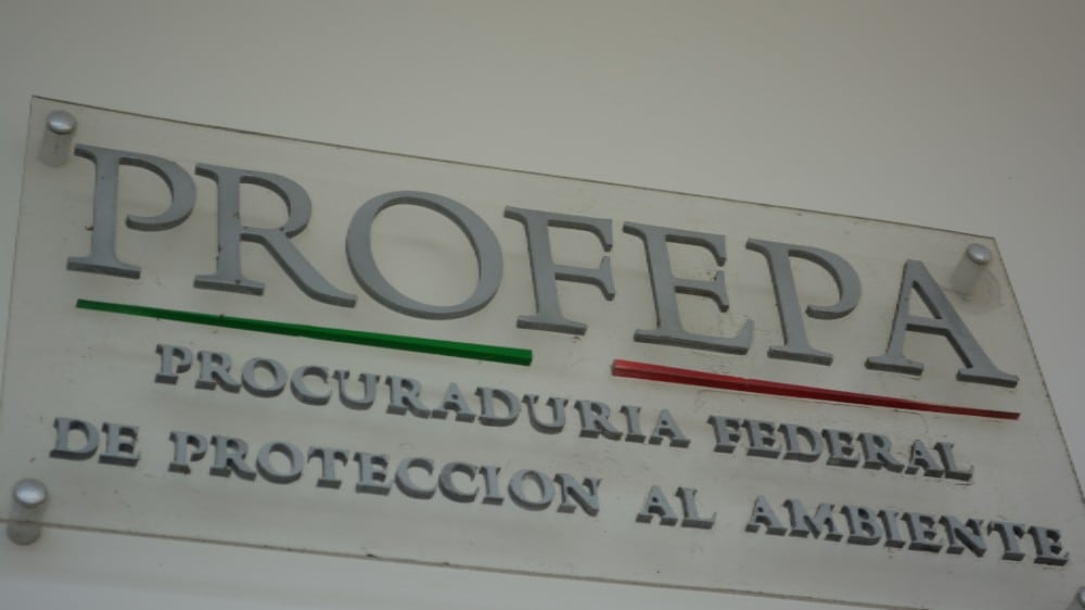 Profepa