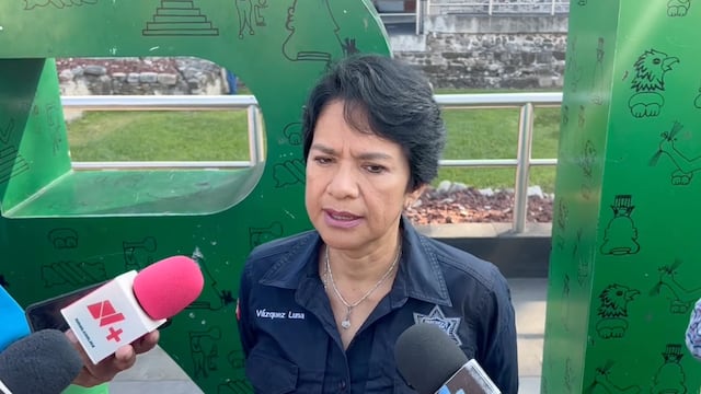 ¿Quién es Alicia Vázquez Luna?