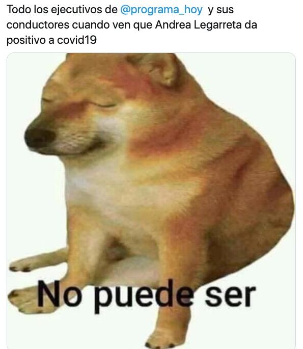 Meme Andrea Legarreta