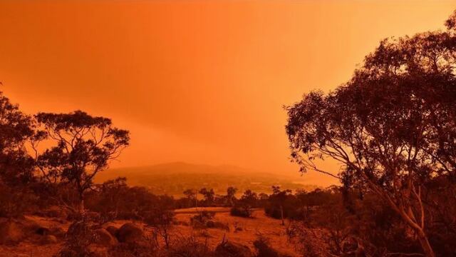 Los incendios iniciaron en septiembre