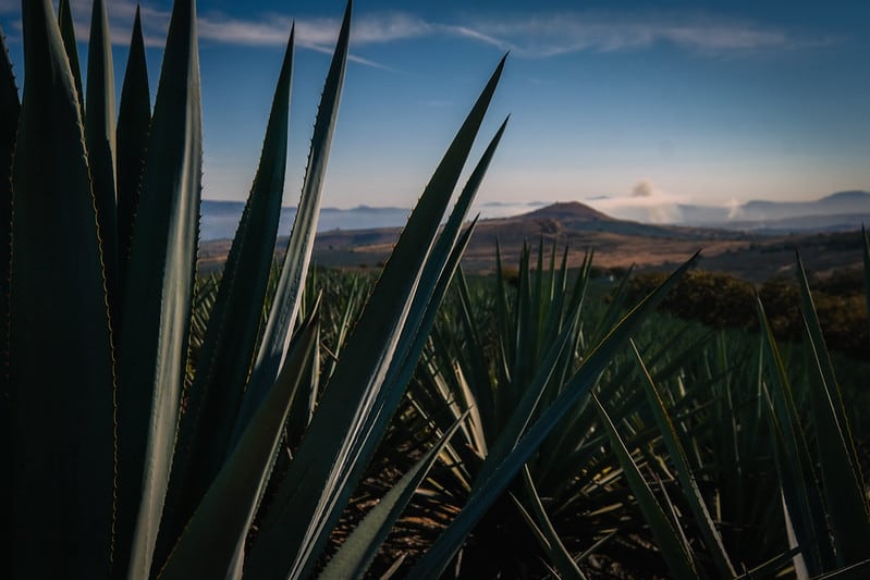 Jalisco fue distinguido como Mejor Destino Internacional 2026 en los Premios Condé Nast Traveler España.