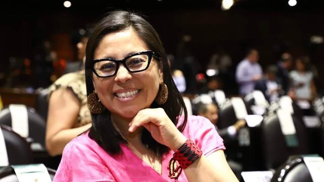 ¿Quién es la diputada Erika Vanessa del Castillo Ibarra?