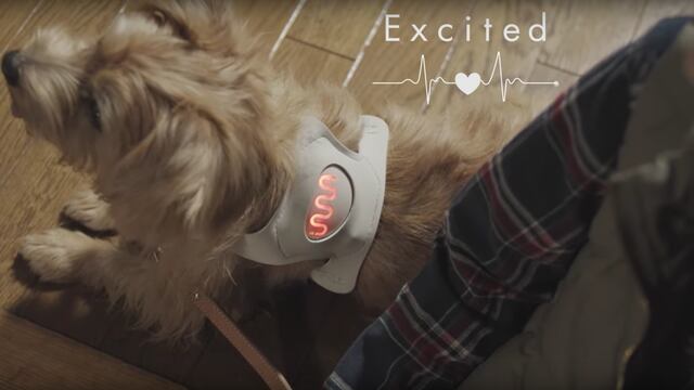 Aplicación para comunicarte con tu perro