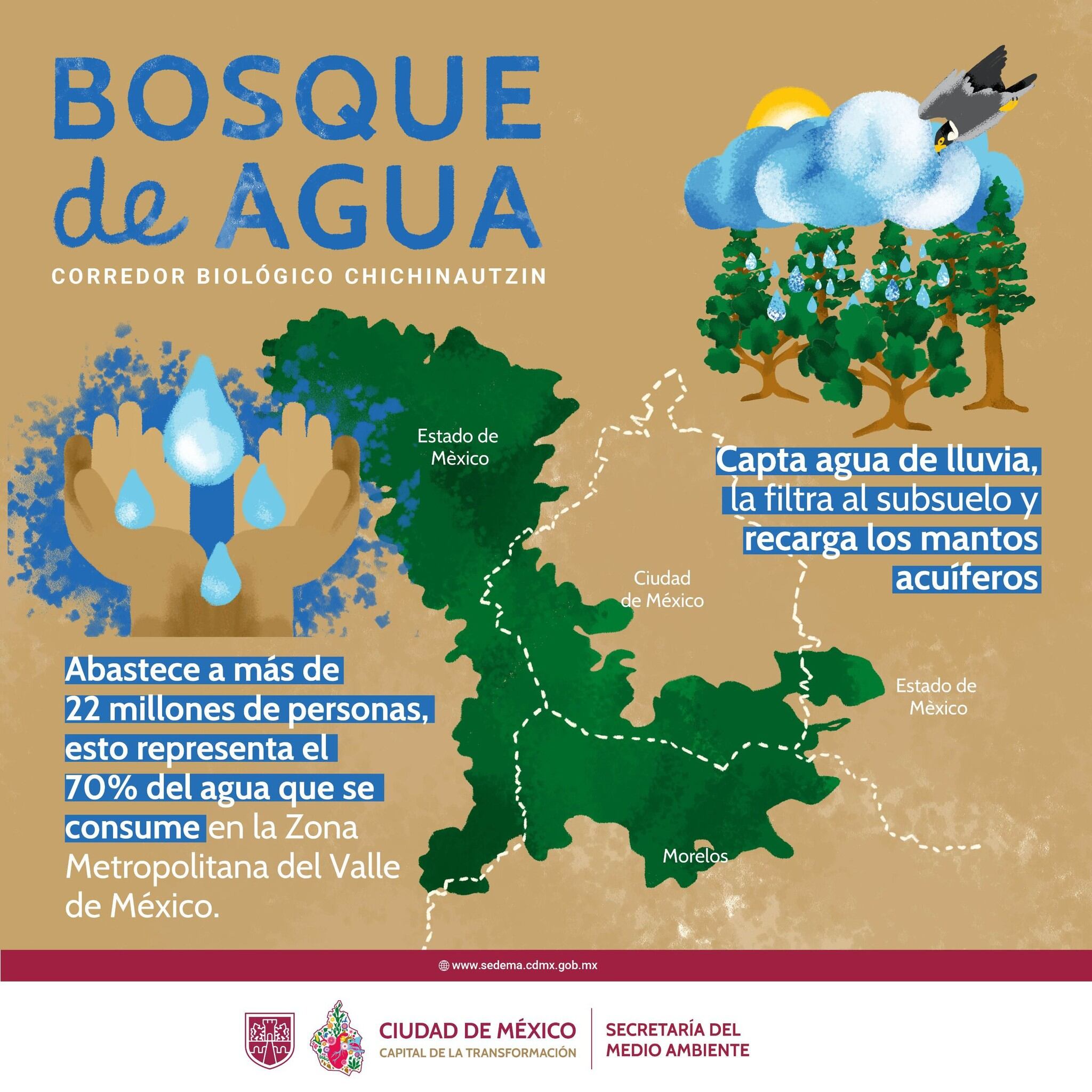 El Bosque de Agua