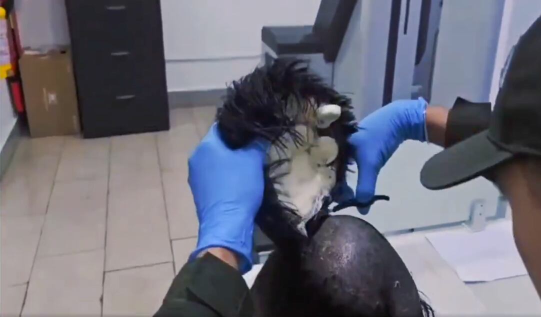 cocaína en su peluca