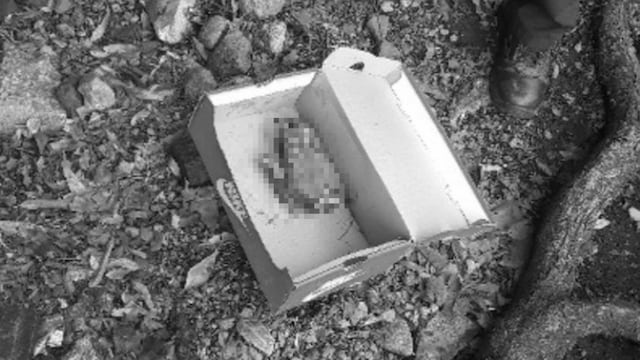 Mano mutilada es hallada en caja de tenis sobre Río Churubusco