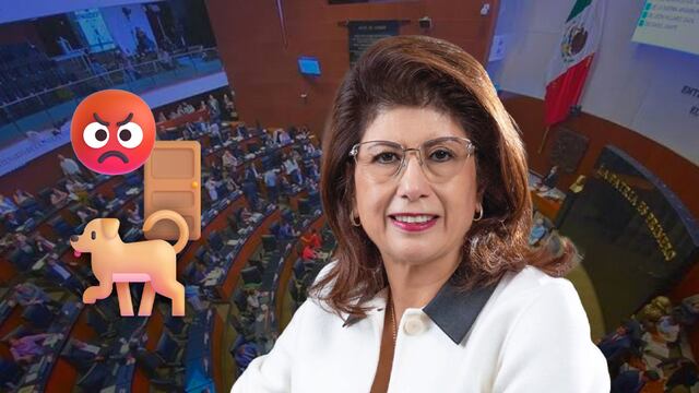 Activistas exigen salida de Mariela Gutiérrez del Senado por sacrificio de de perros