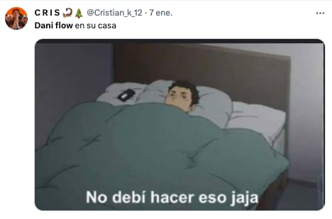 Dani Flow memes