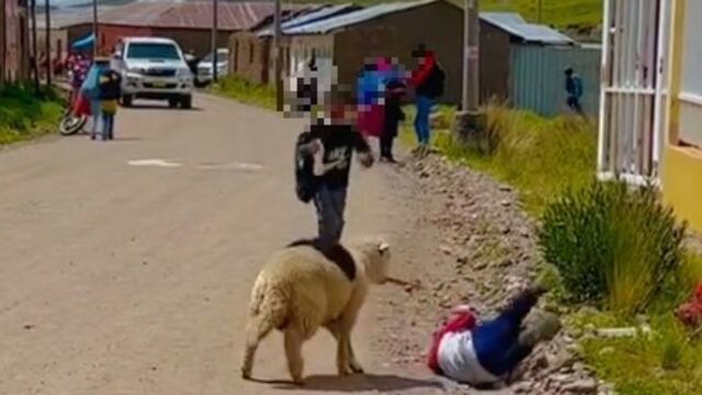 La oveja ataca a personas de la calle sin razón aparente