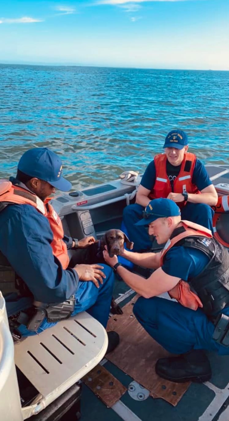 Rescate de perrita en el mar