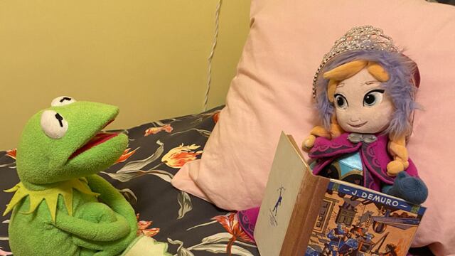 Peluches en escenarios