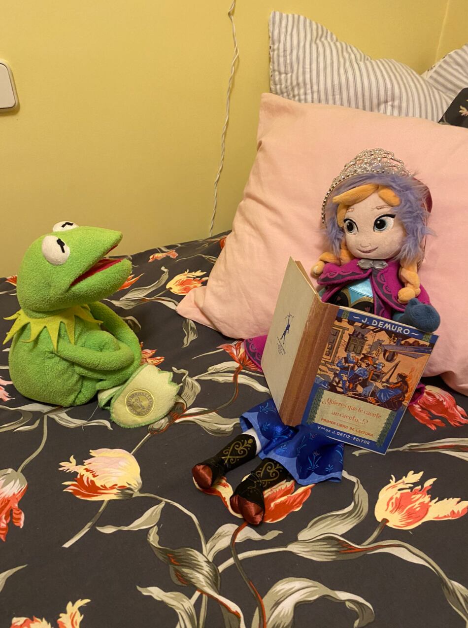 Peluches en escenarios