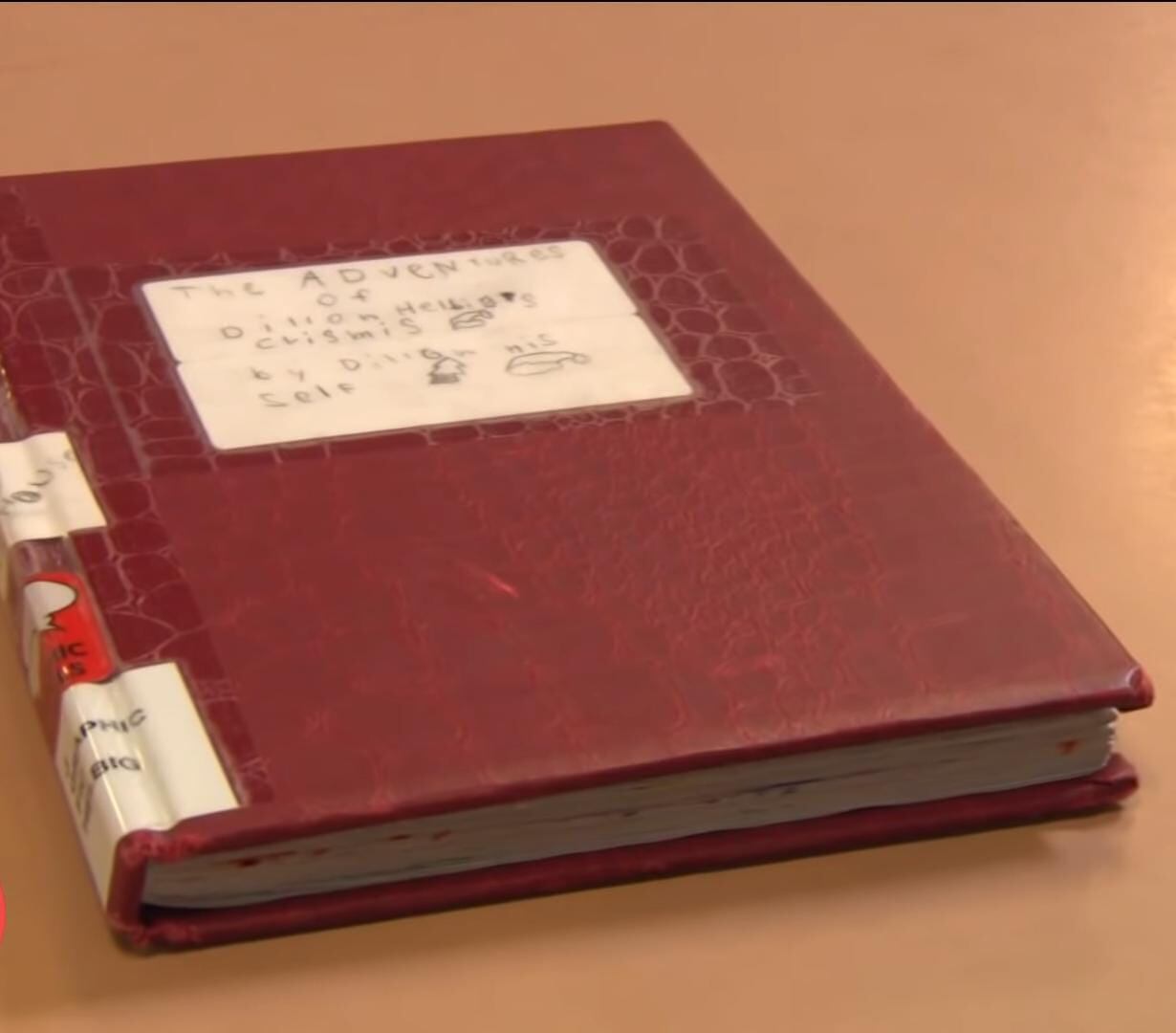Niño escribe y publica su propio libro