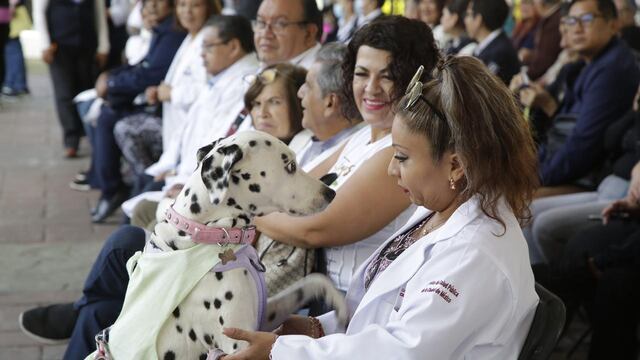 Jornada contra la rabia en CDMX