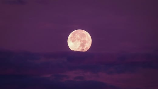 Eventos astronómicos abril 2026 en México: Luna Rosa, lluvia de estrellas y alineaciones