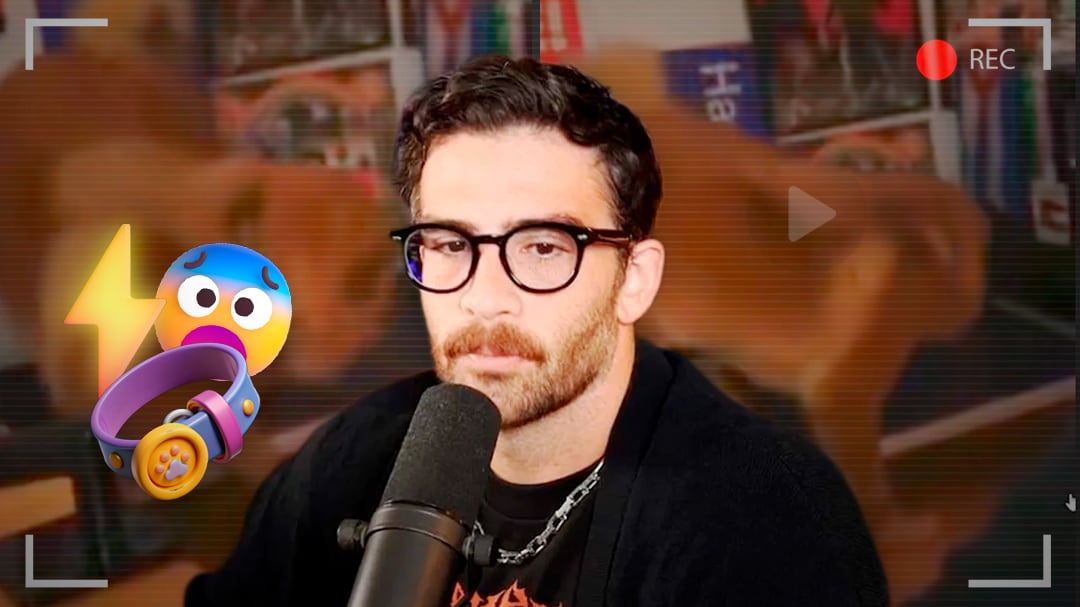 Hasan defiende uso de collares eléctricos para perros tras críticas en redes