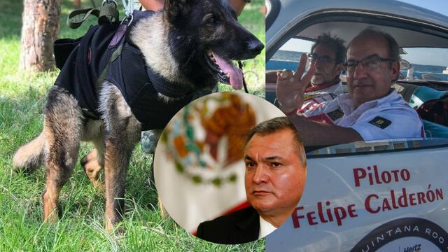 Proteo interesa más a Felipe Calderón que Genaro García Luna