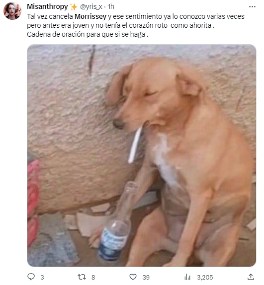 Memes porque Morrissey pospuso concierto en el Palacio de los Deportes