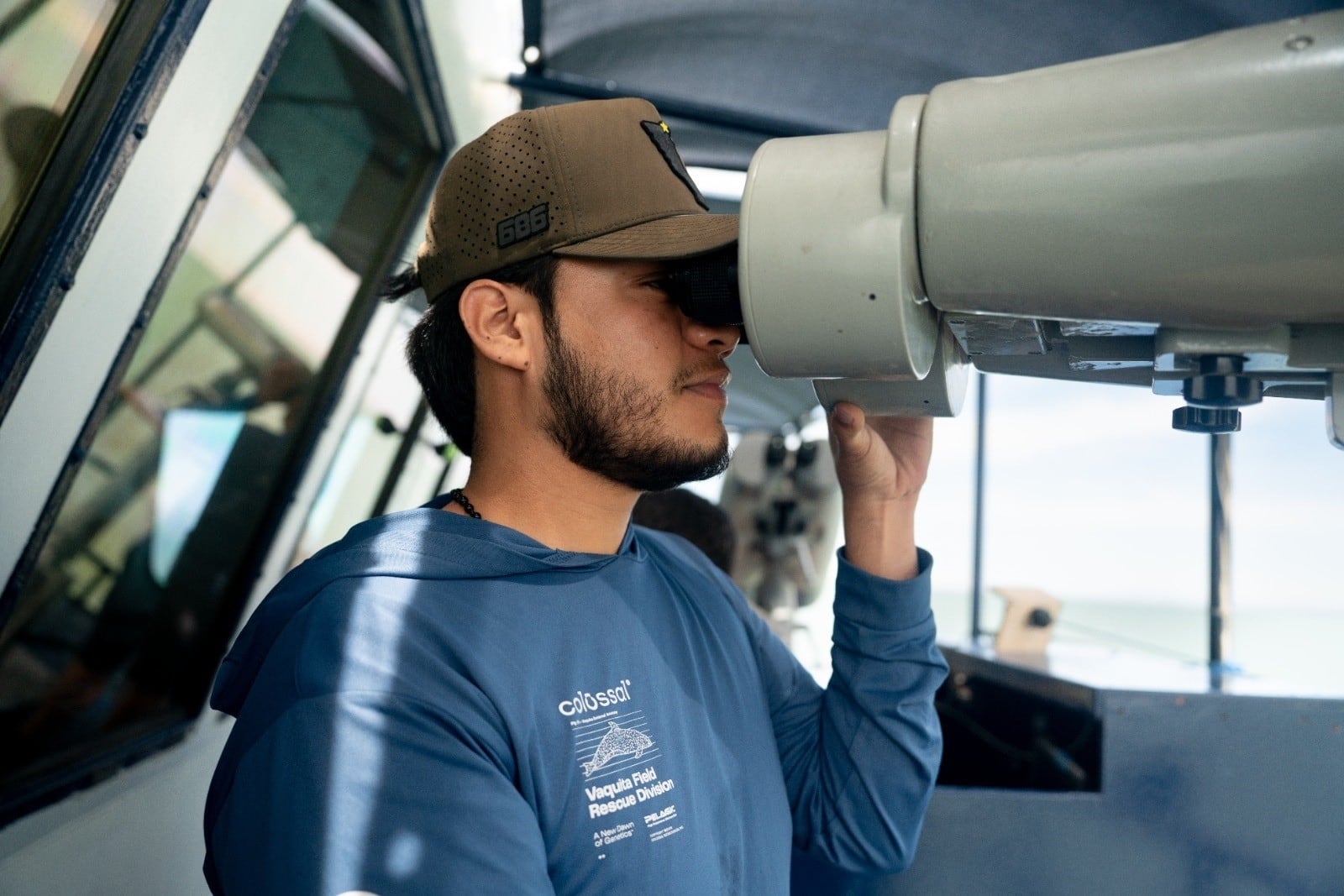Conanp reporta avistamiento de tres vaquitas marinas; no pudieron fotografiarlas