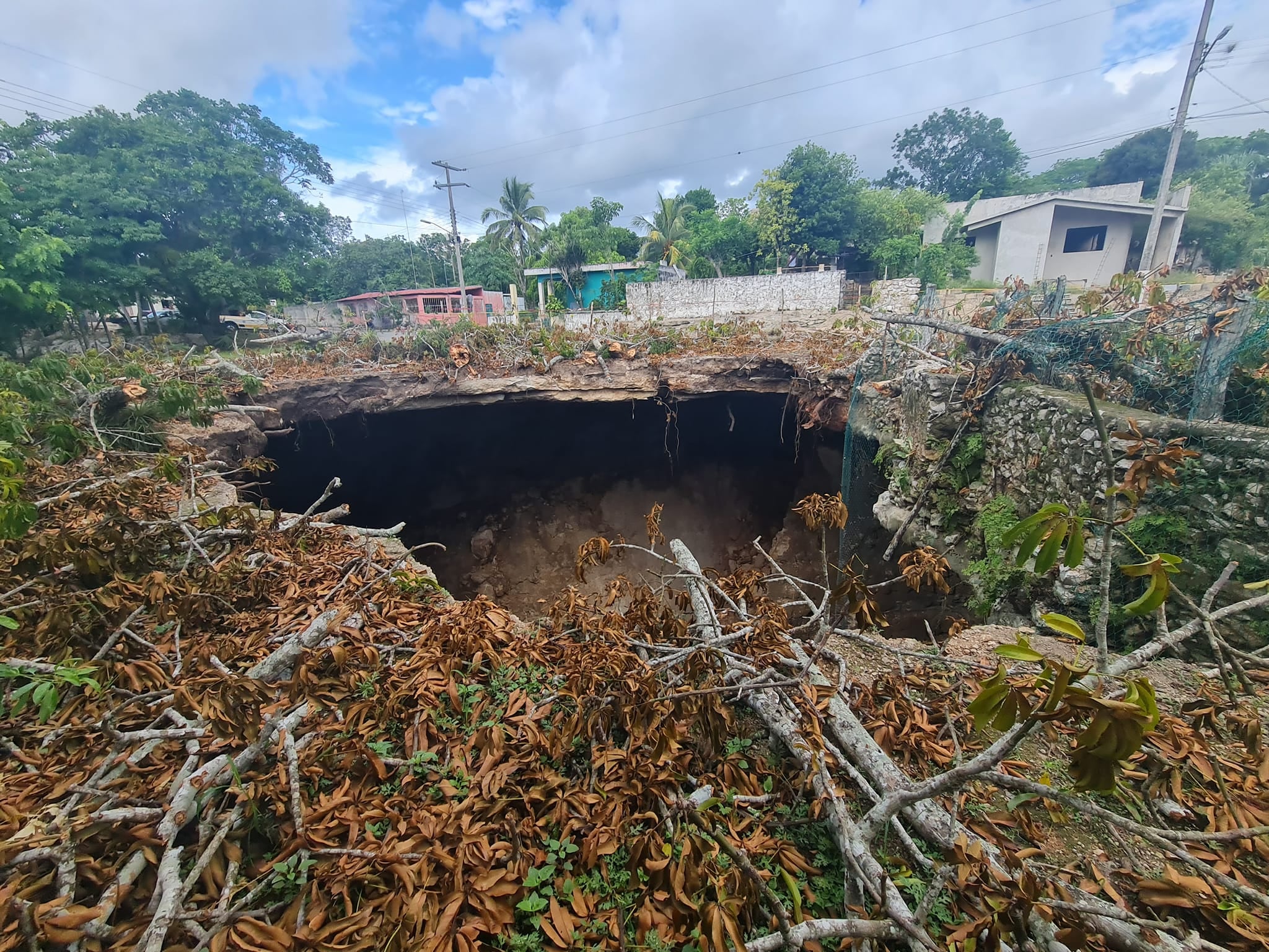 ¿Qué pasó en el cenote de Xocén? Colapsó parte de la bóveda y se tragó un árbol de 100 años
