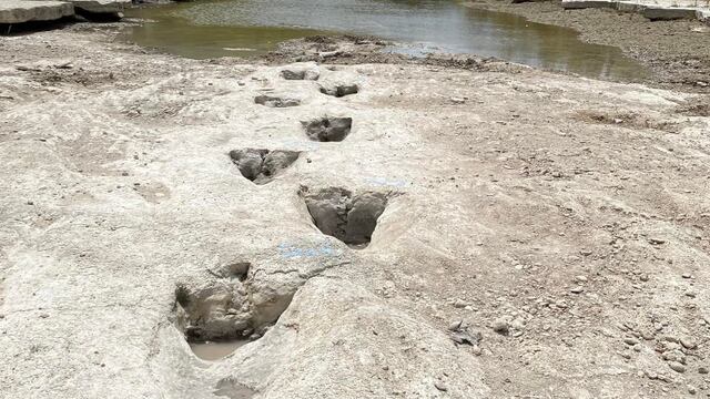Huellas de dinosaurios en Texas
